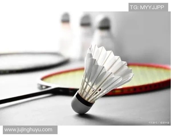 羽毛球新手必看:提升耐力的全面入门攻略与训练方法